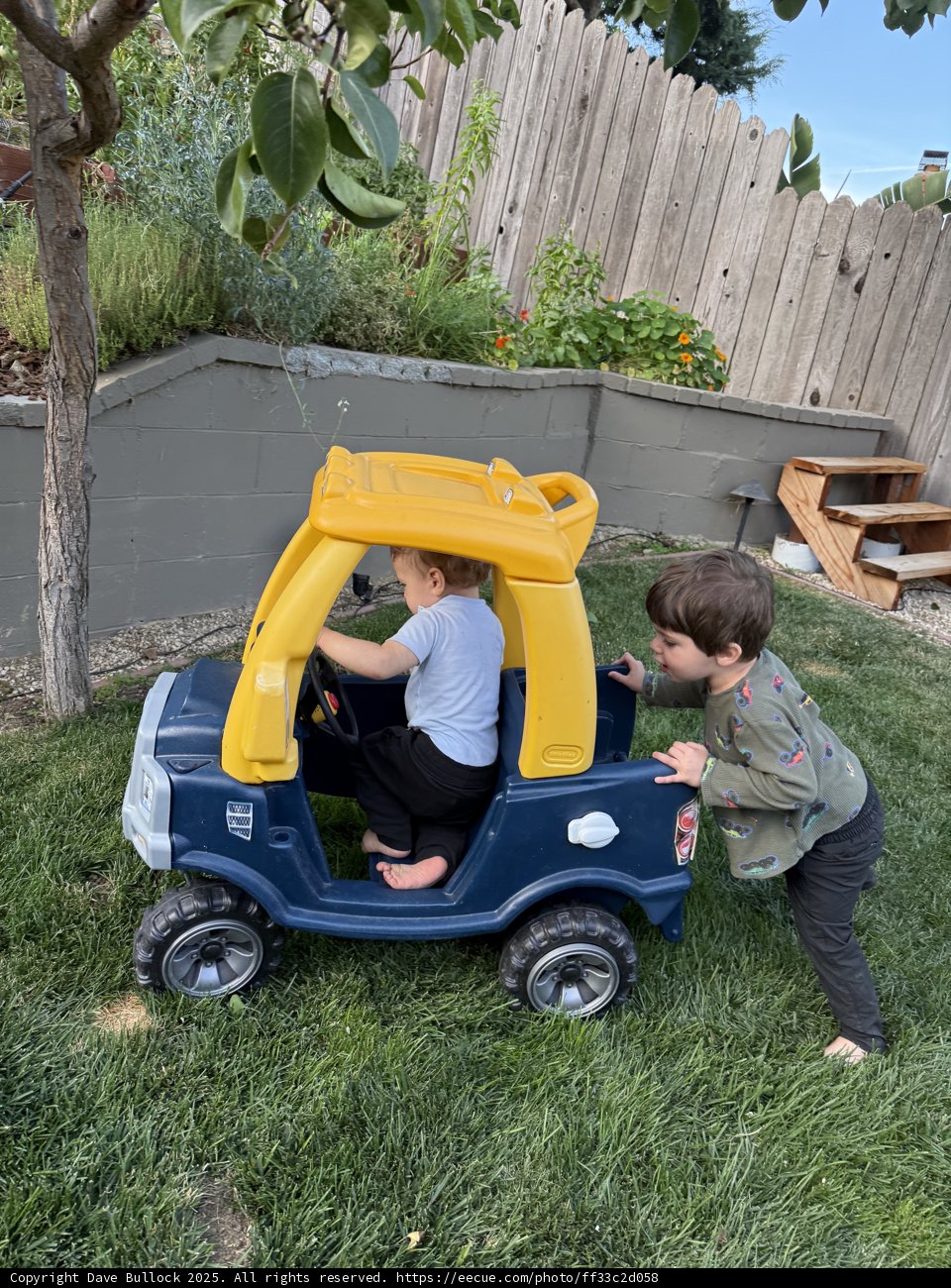 Backyard Adventures
