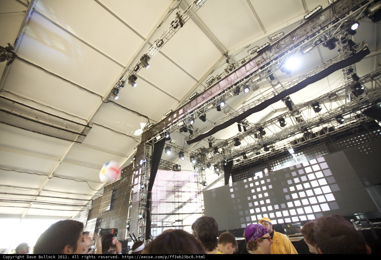 Electric Crowd at Coachella