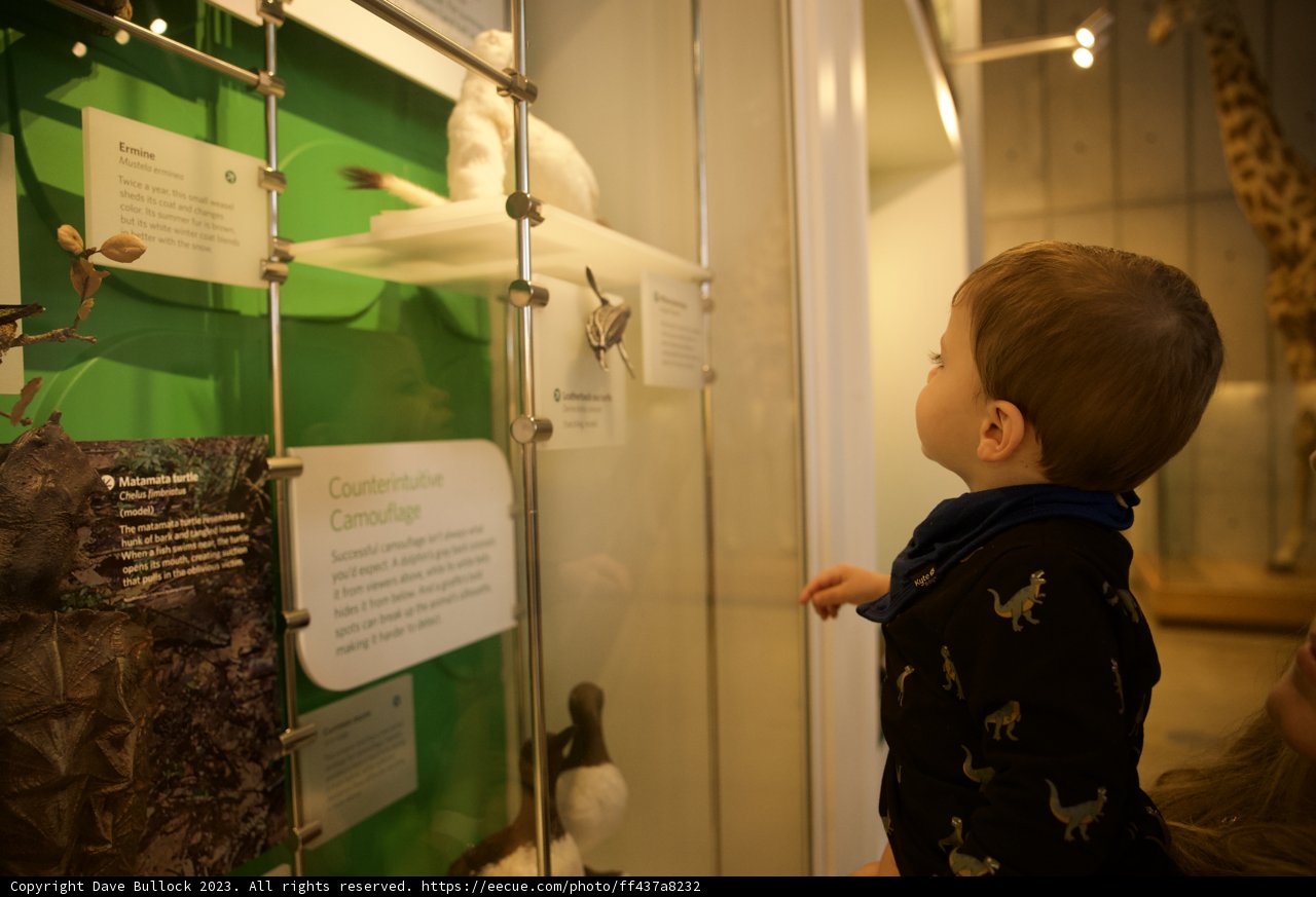 Inquisitive Adventures at the Academy of Sciences