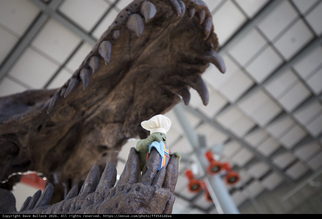 Tiny Chef Meets Dinosaur: An Unexpected Encounter
