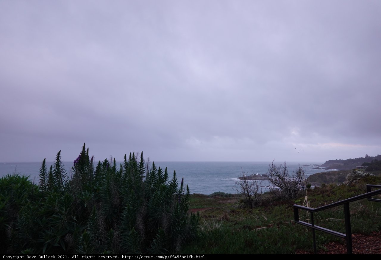 Serene Ocean View from Hilltop