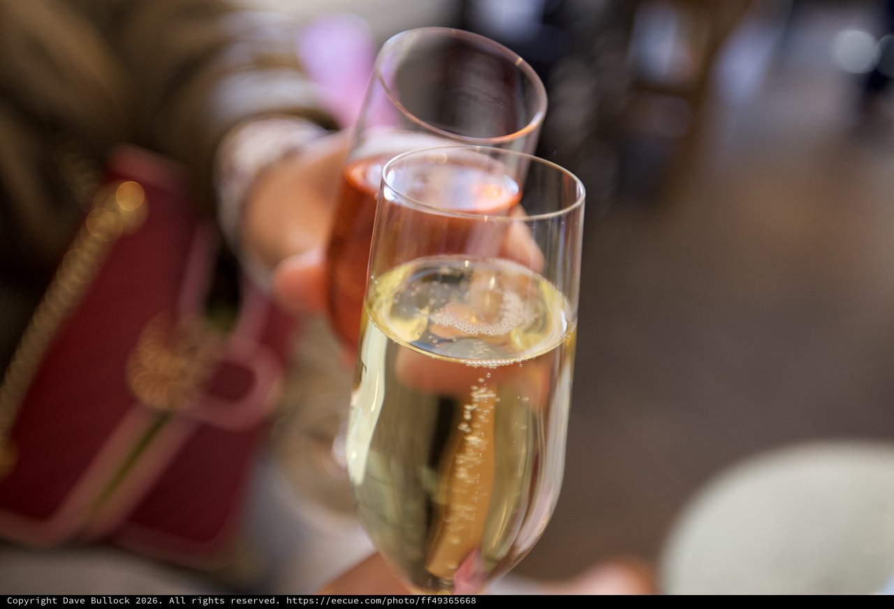 Champagne Toast at Celebration Gathering