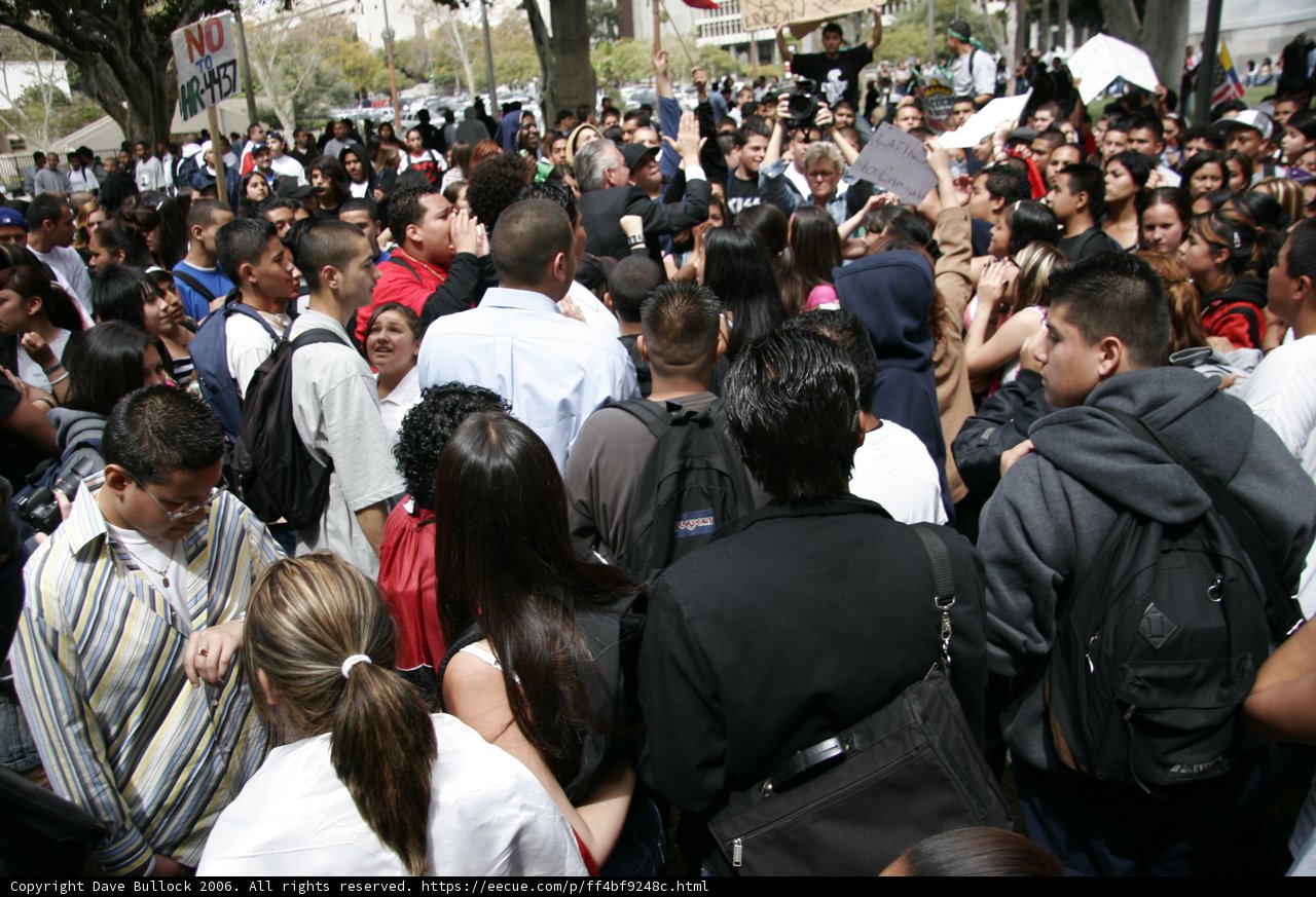 Large Crowd Gathers for School Walkout
