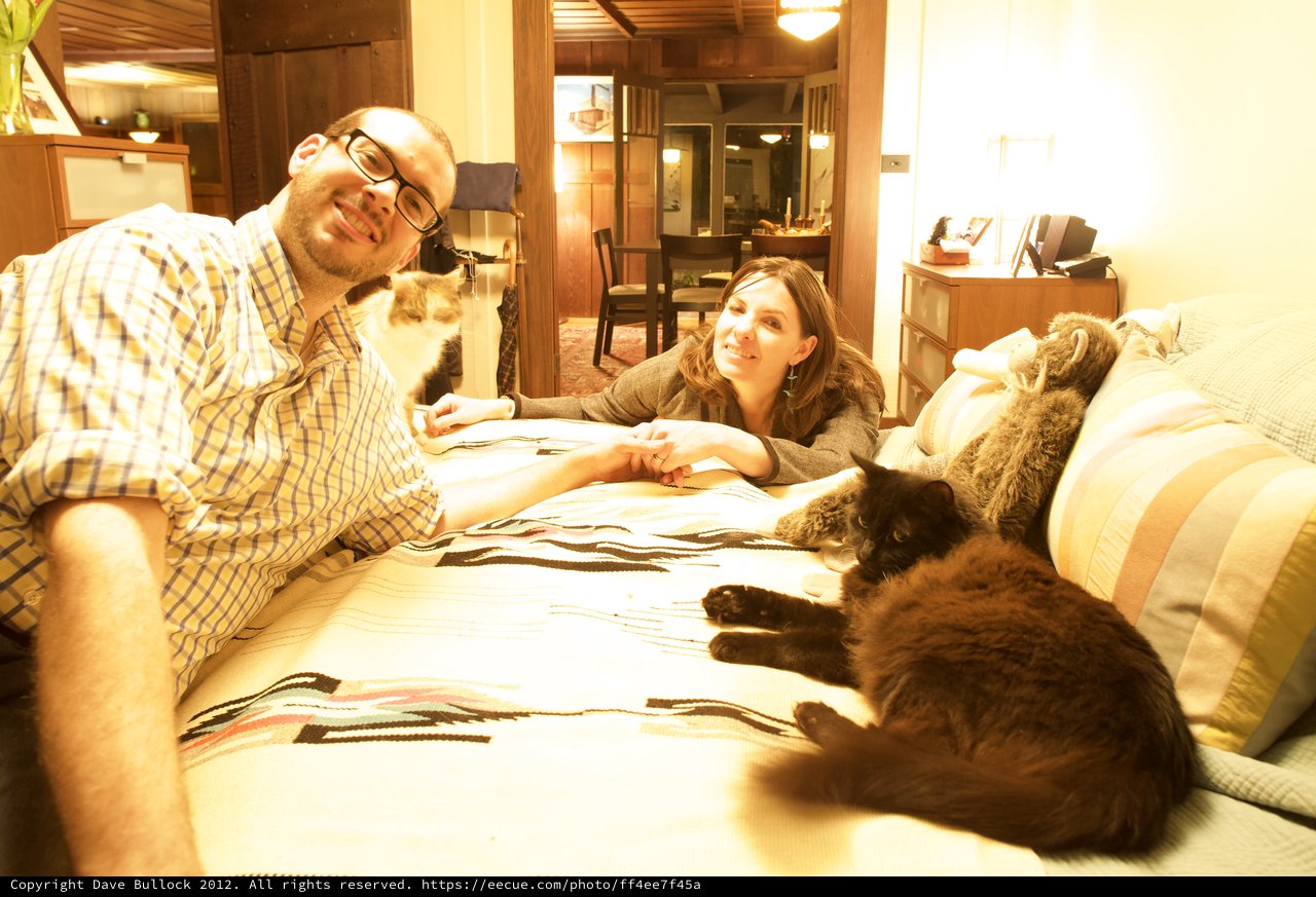 Couple Relaxing on Bed with Their Cats