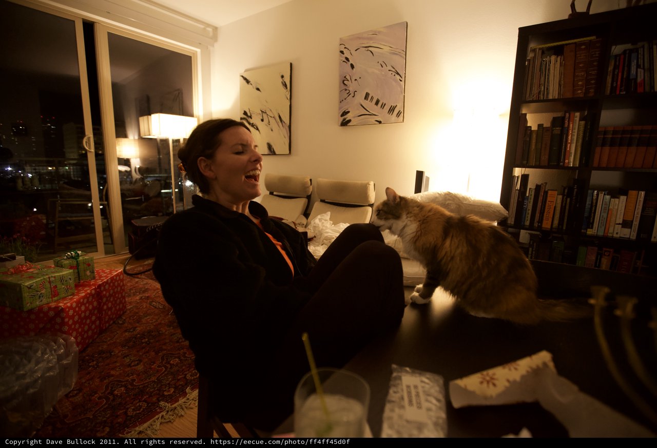 Laughing Woman and Curious Cat on Christmas Eve