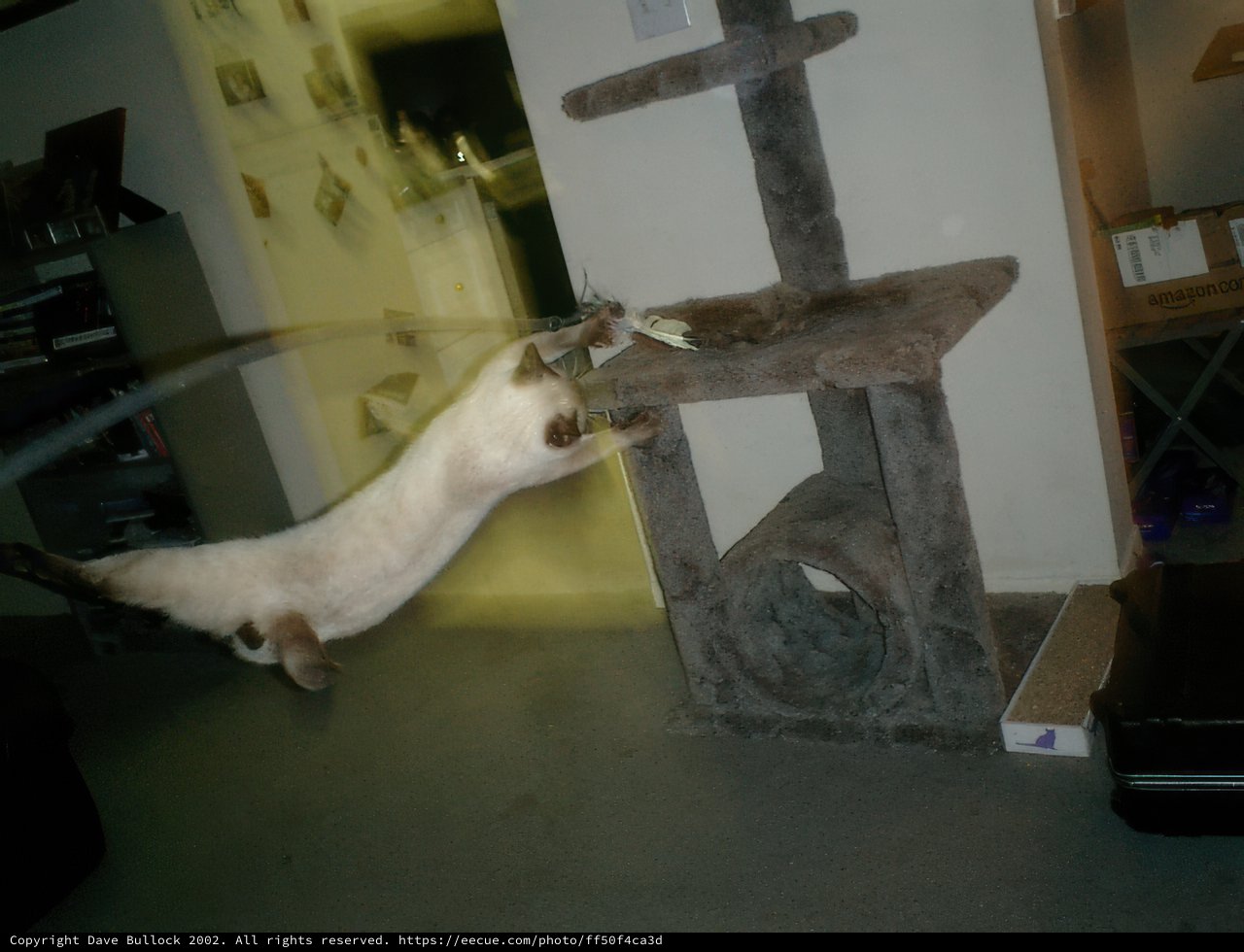 Jumping to New Heights