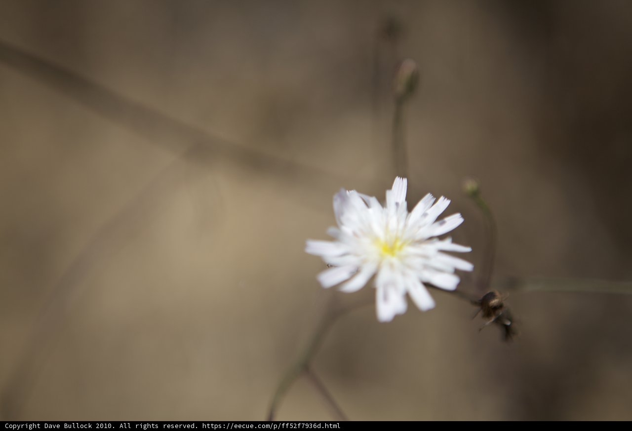 Solitude