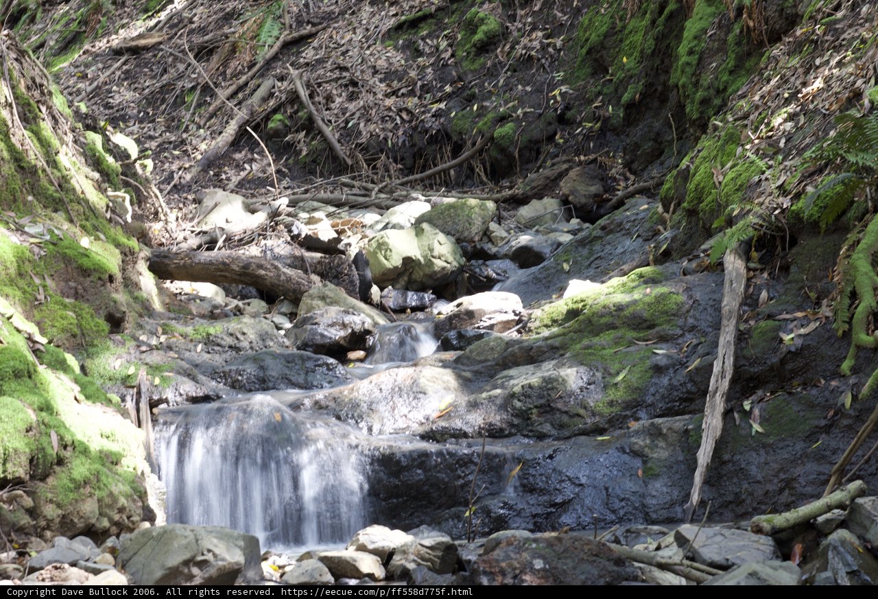 Serene Waterfall in the Wilderness