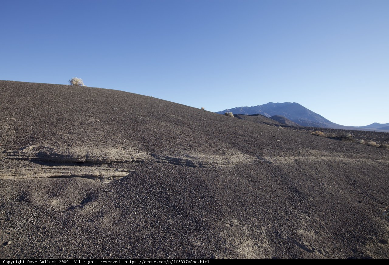 Lone Tree on Desert Hill