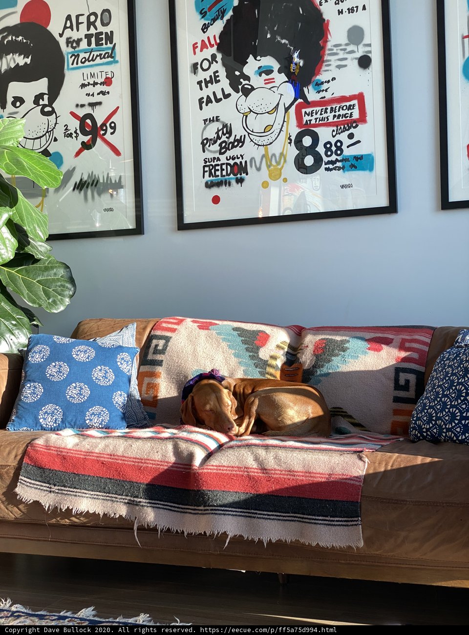 Home Decor with a Furry Touch