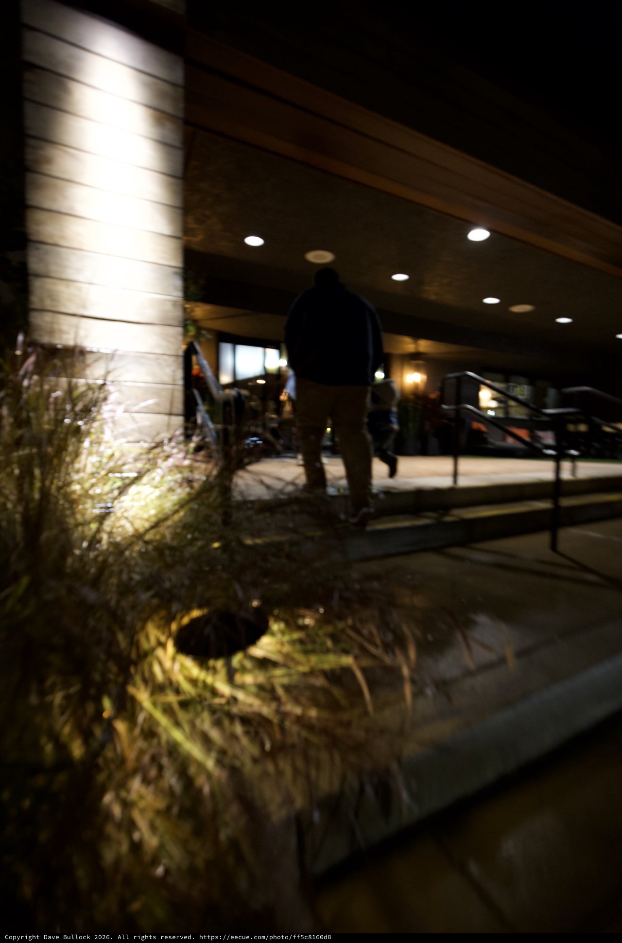 Modern Hotel Entrance at Night with Illuminated Landscape