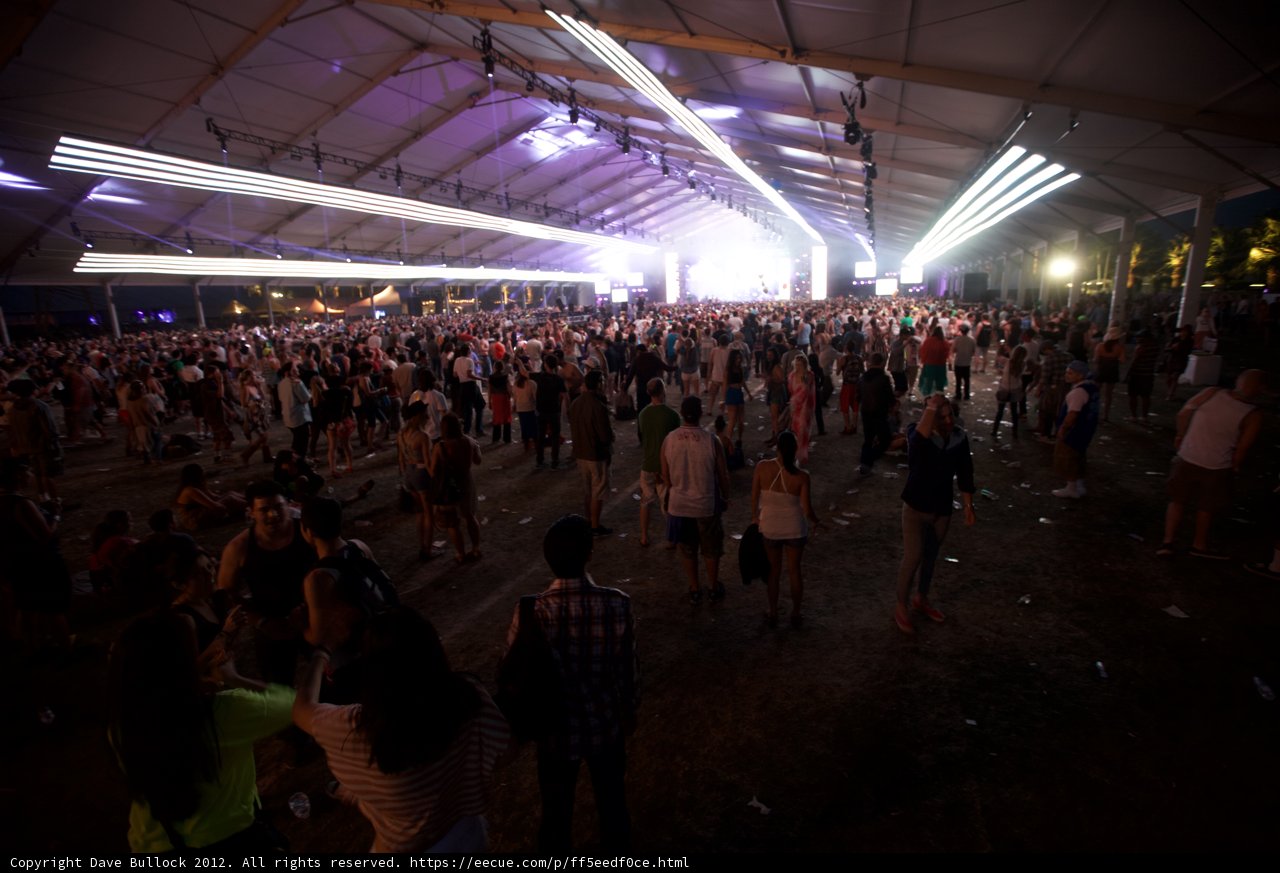 Coachella Crowd Vibes