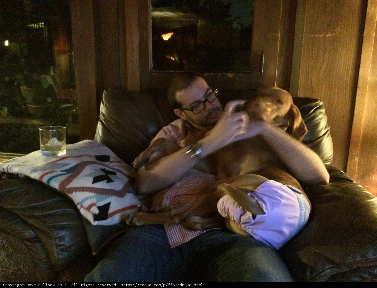 Comfortable Living Room Companion
