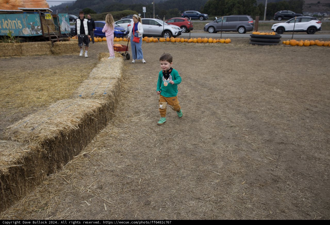 Autumn Adventures at the Pumpkin Patch