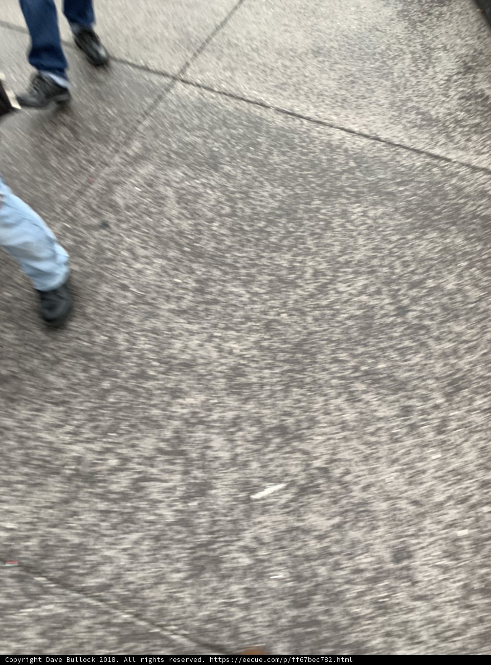 A Stroll with My Best Friend
