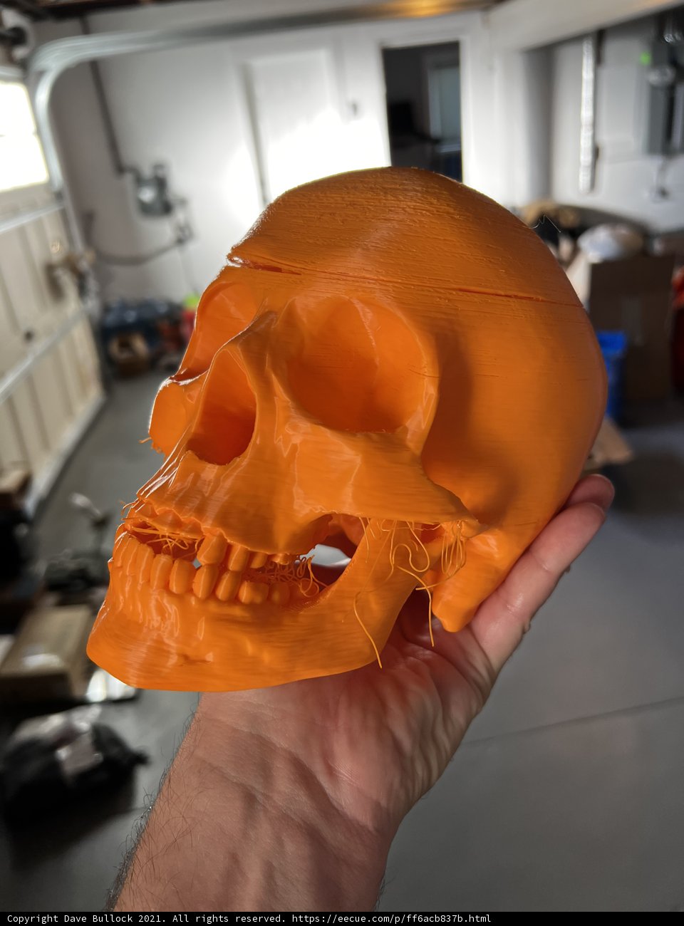 Halloween's Grisly Accessory