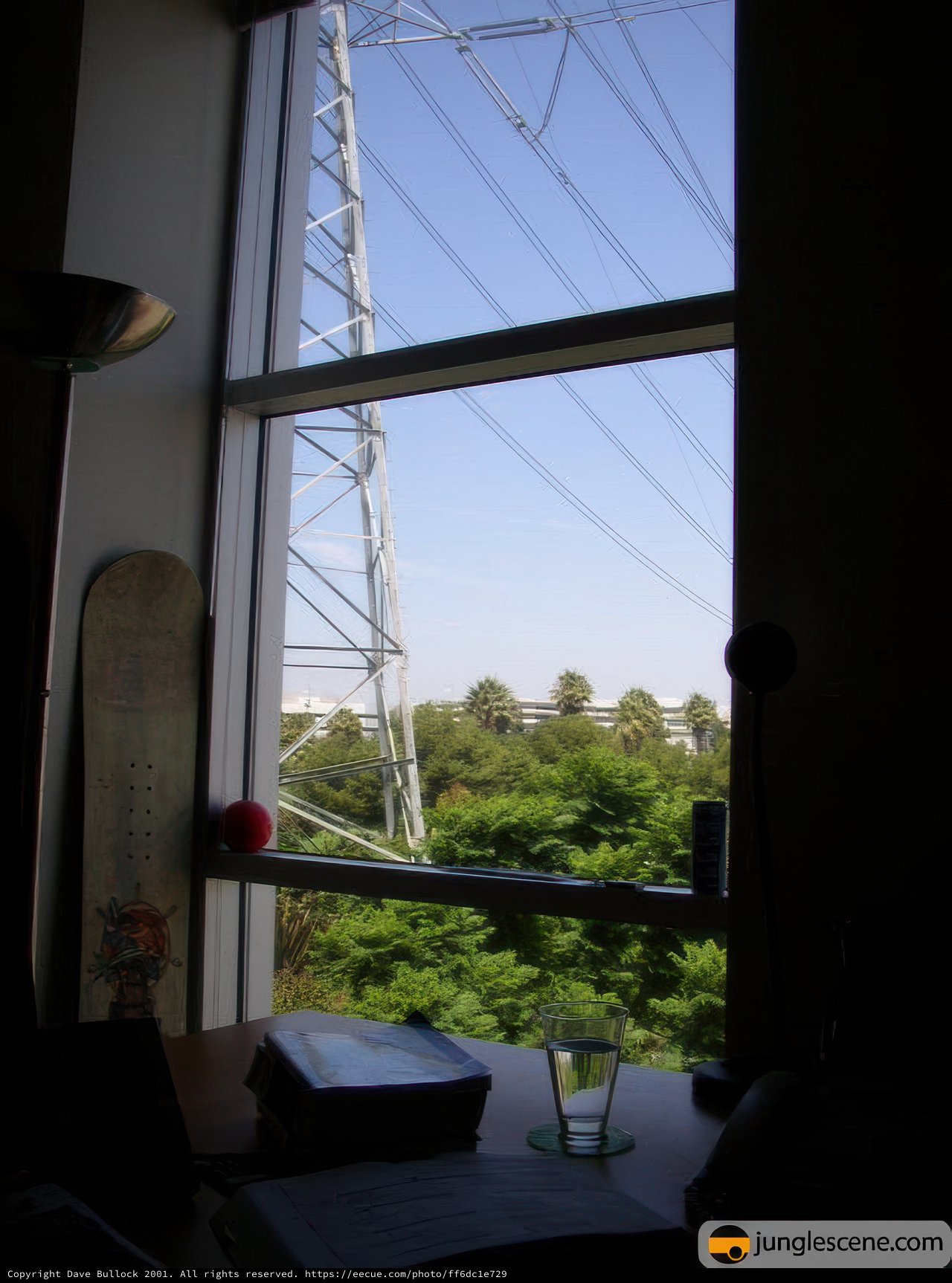 Window View of Urban Jungle