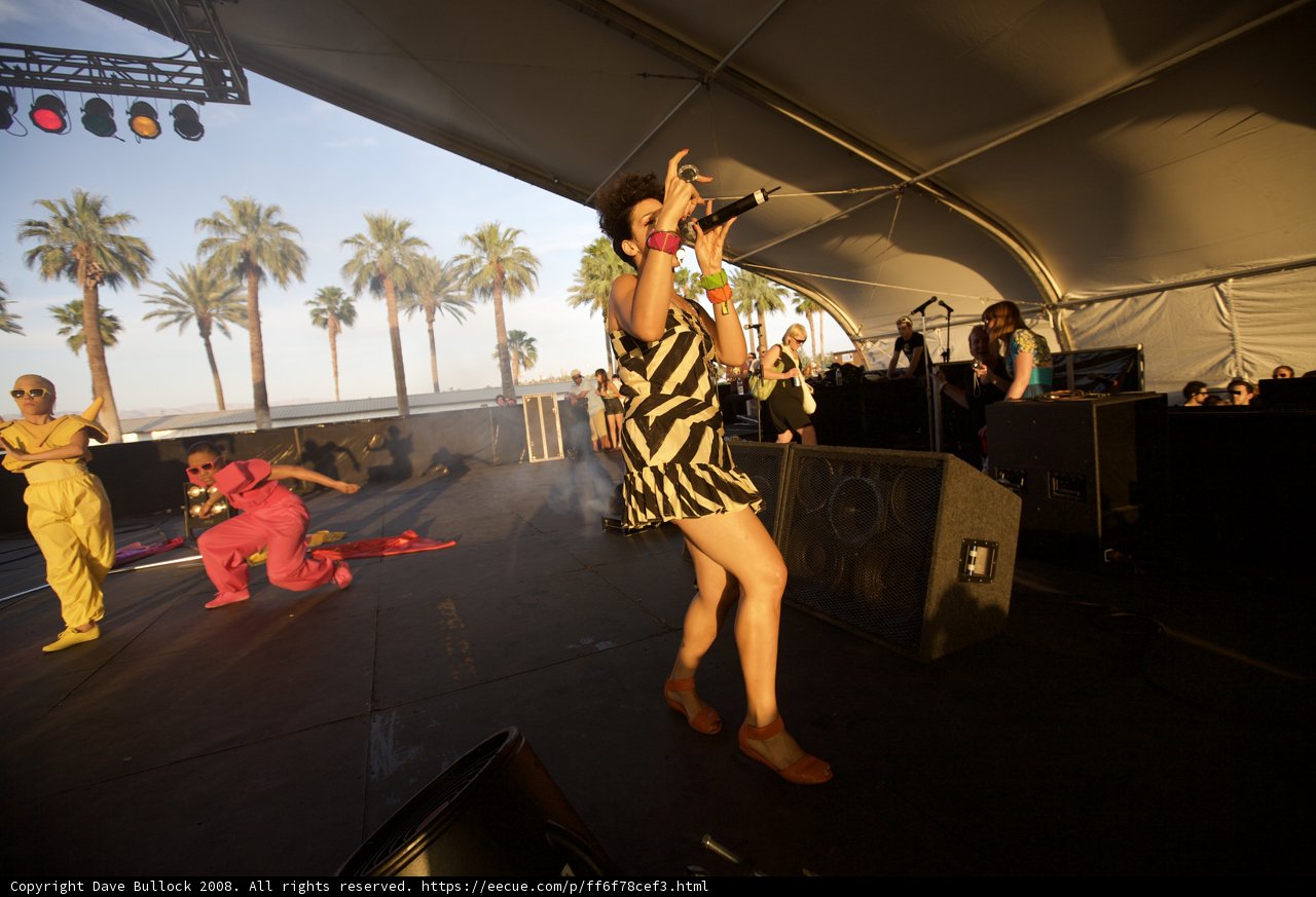 Zebra in the Spotlight