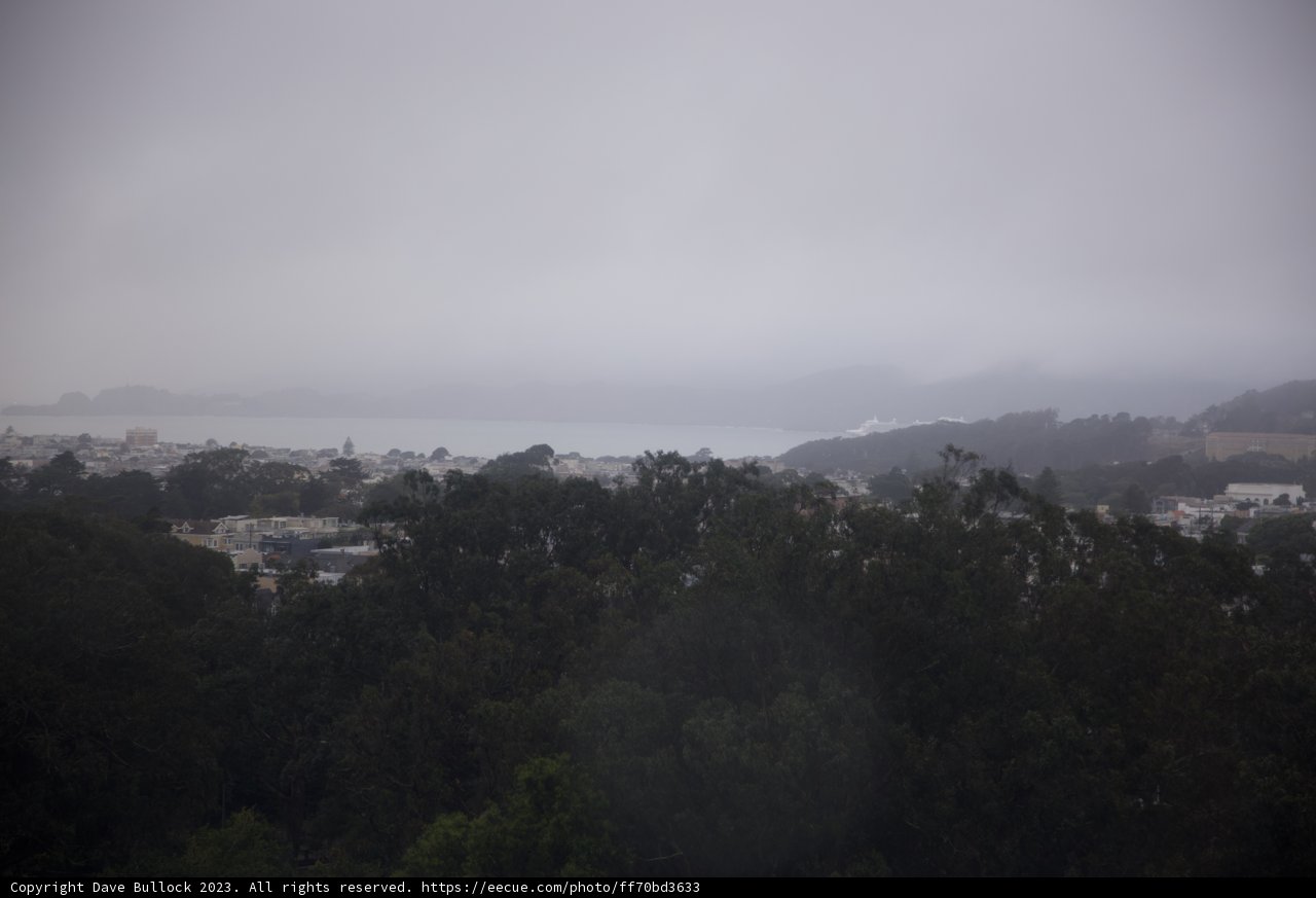 City in the Fog: A Hillside Perspective