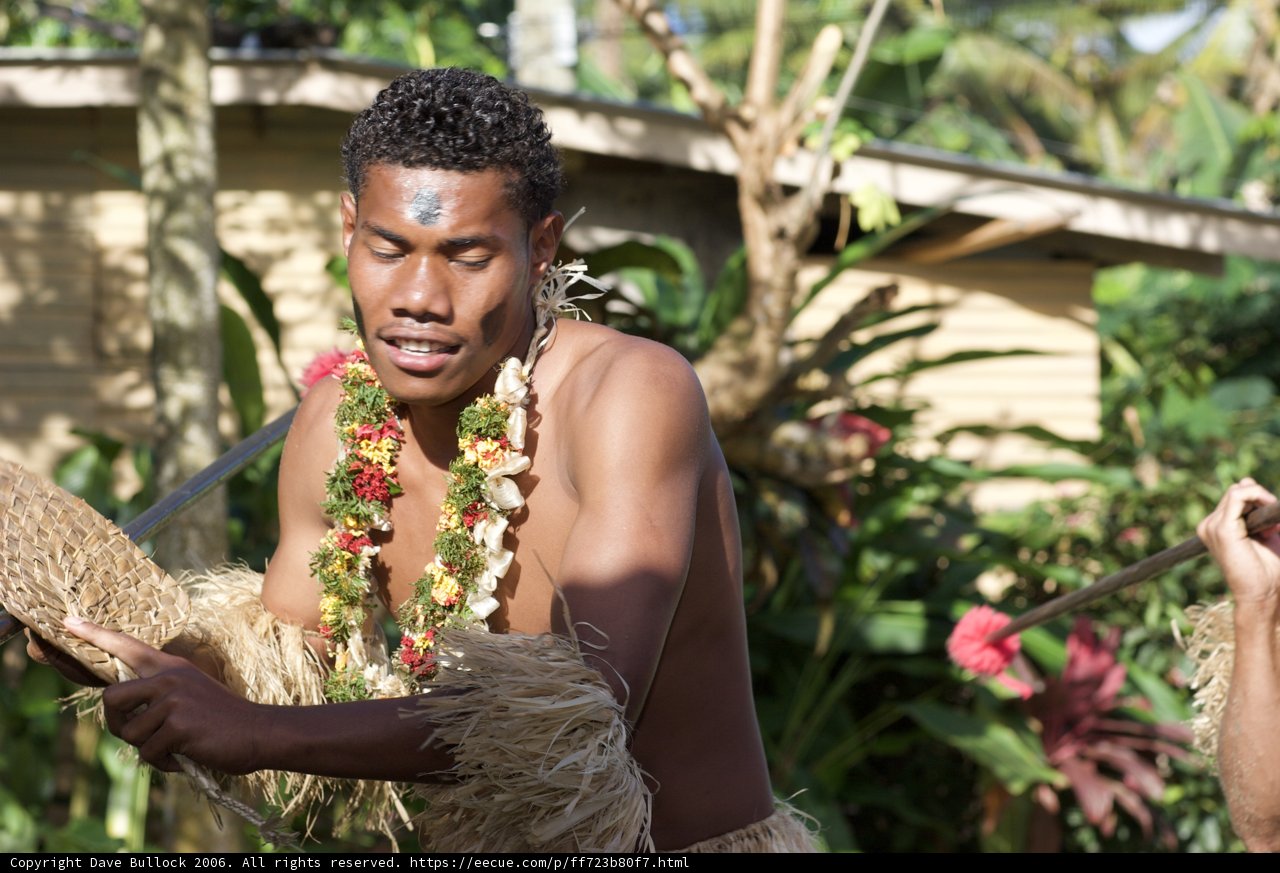 Traditional Dance Performance with Plants and Ornaments