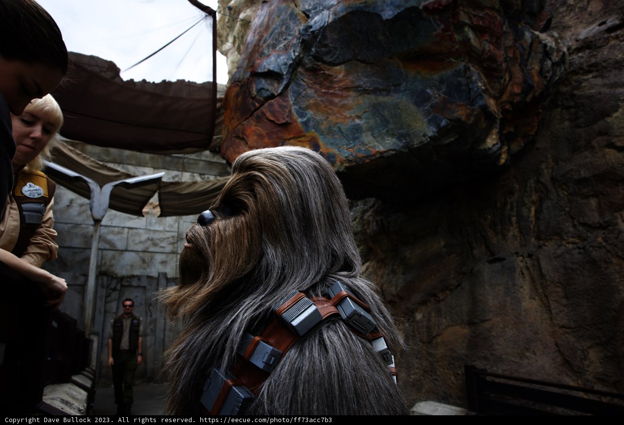Galactic Adventure at Star Wars Land