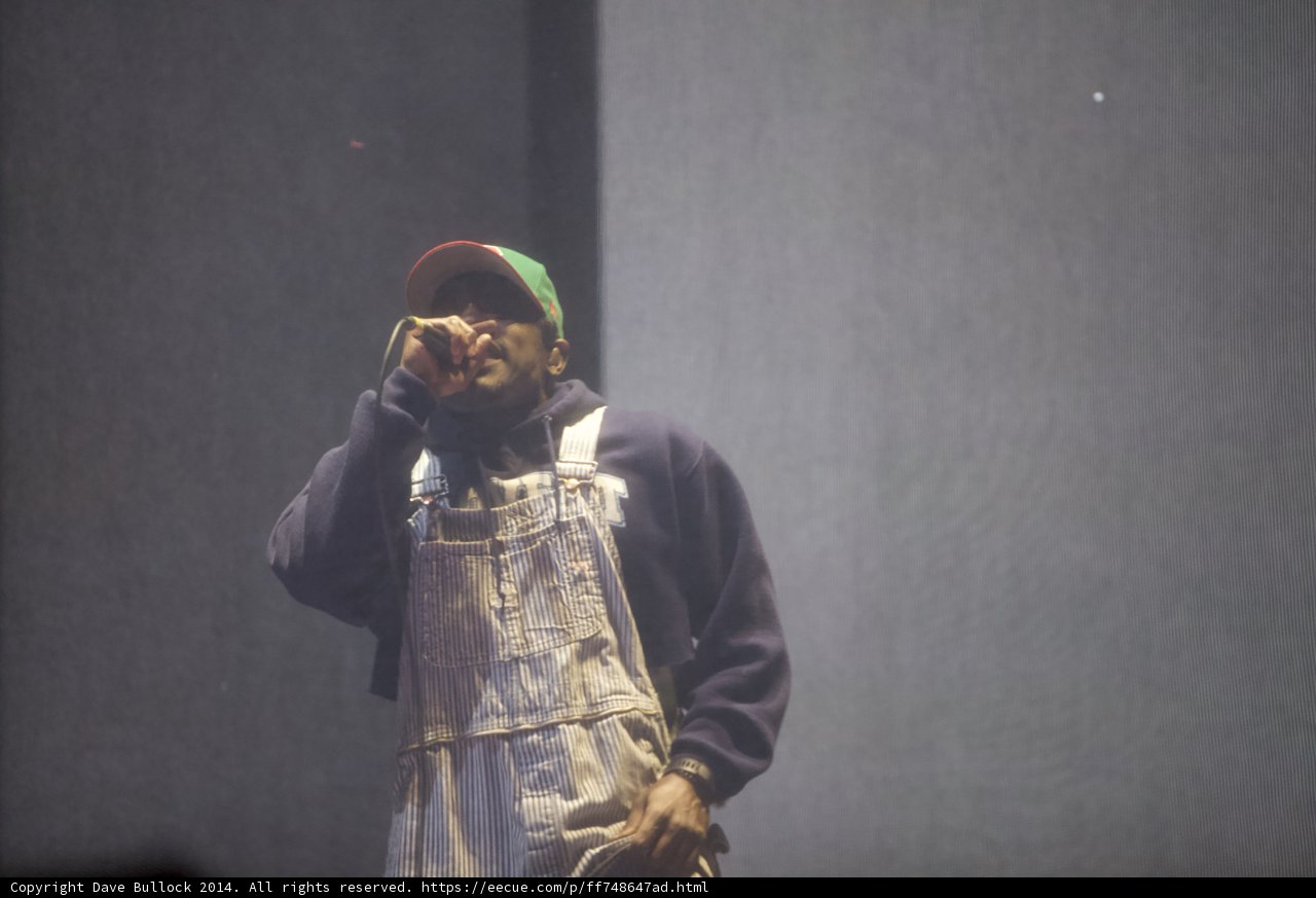 Solo Performance in Coachella