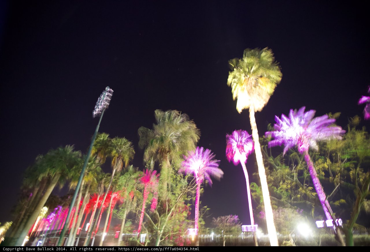 Purple Paradise