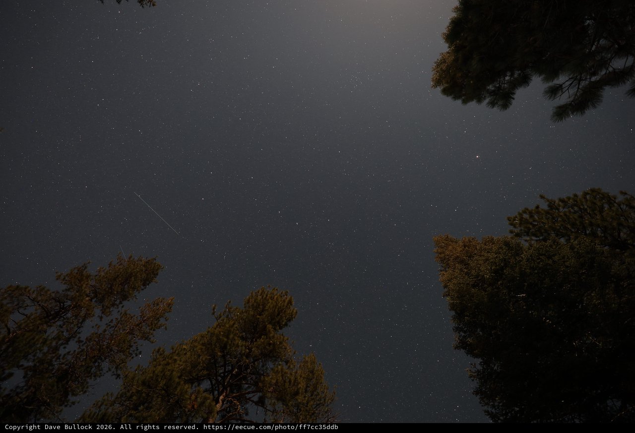 Meteor Streak Over Pine Trees at Mount Lassen