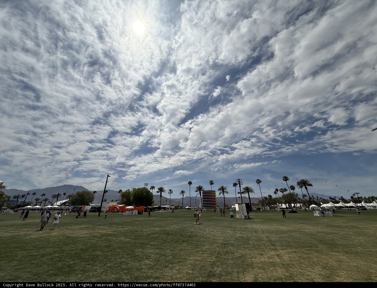 Desert Skies and Palm Trees