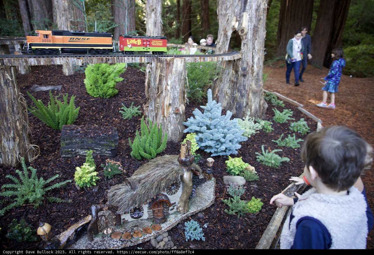 Enchanted Forest Discovery at Thistlewyck