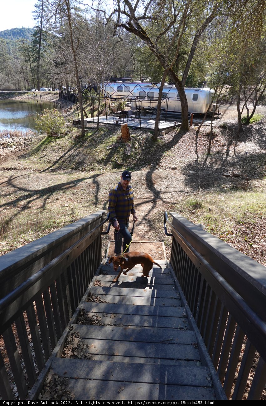 Up the Path with My Canine Companion