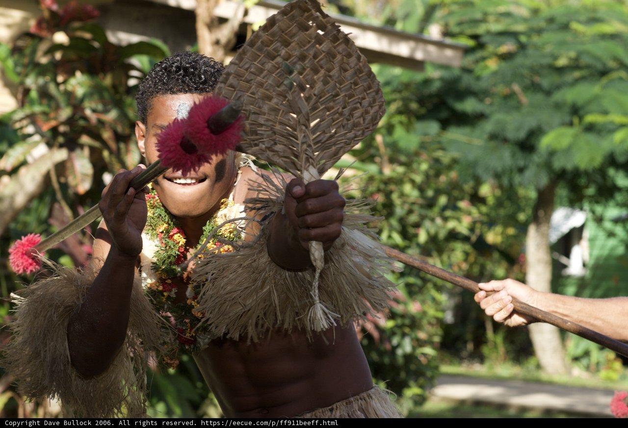 Fiji Man in Grass Skirt
