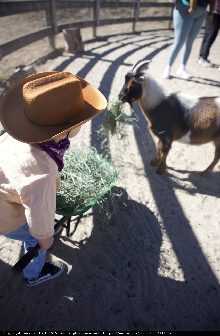 Cowboy Adventures at Carmel Valley Ranch