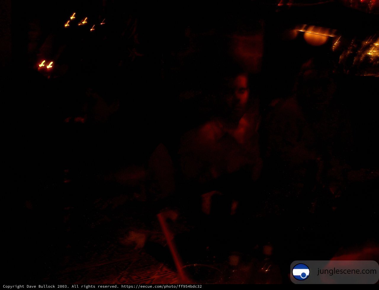 Nightclub Crowd