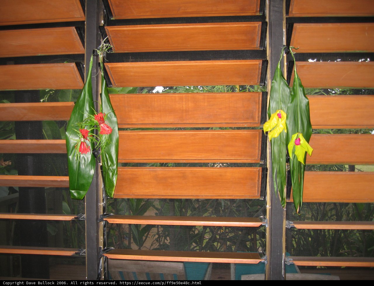 Hanging Plant Decor