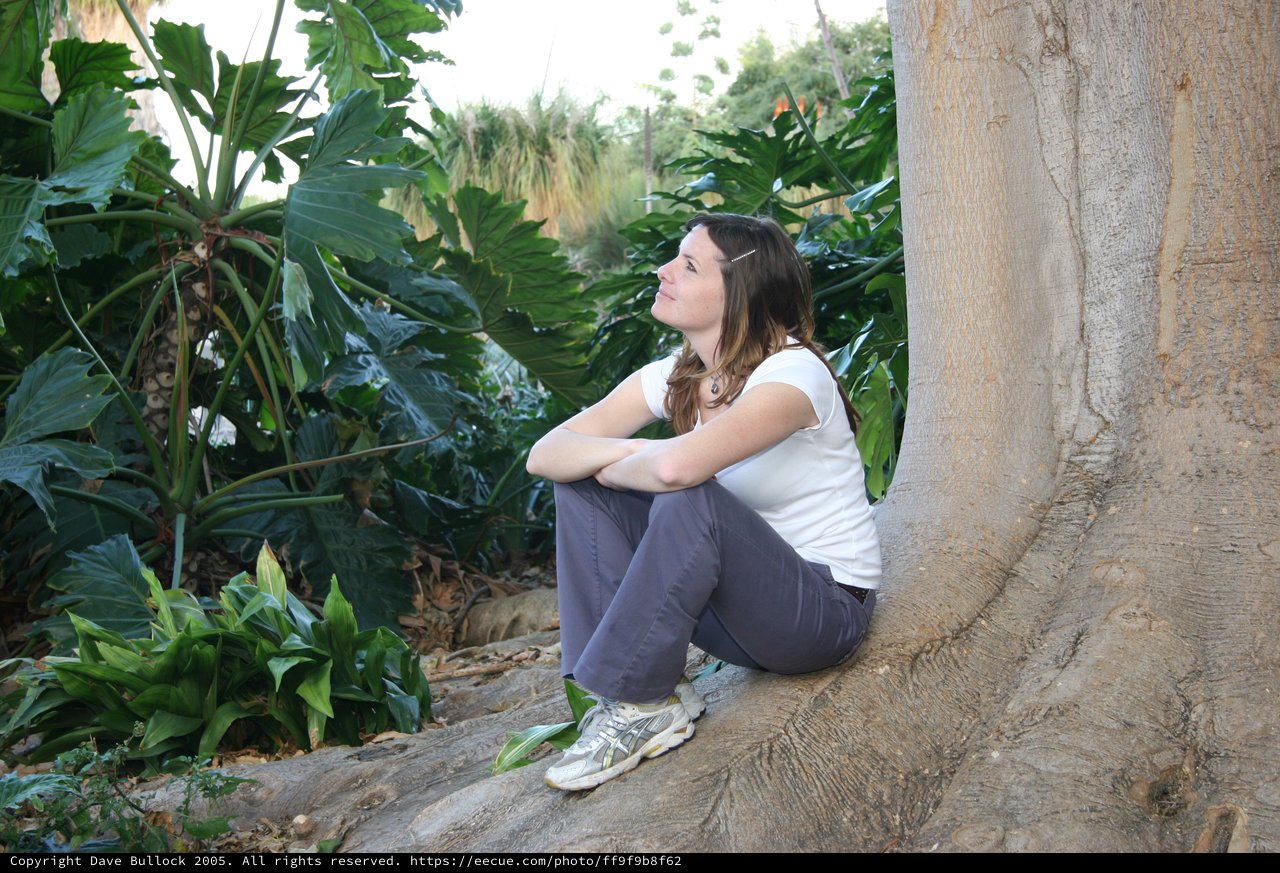 Contemplative Woman Resting Against Ancient Tree Roots
