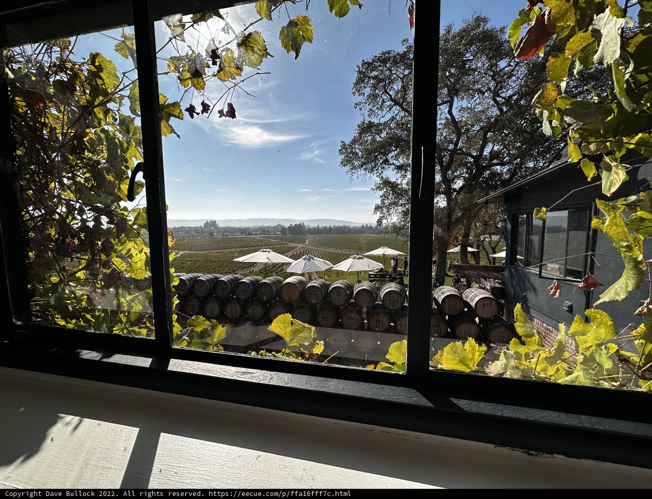 Through the Window: A View of the Scribe Vineyard
