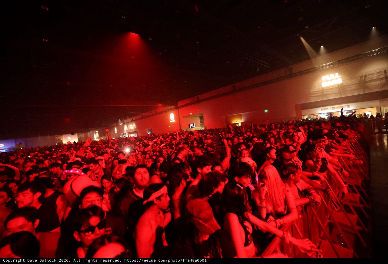 Sea of Red: Wobbleland 2026 Festival Crowd Surge