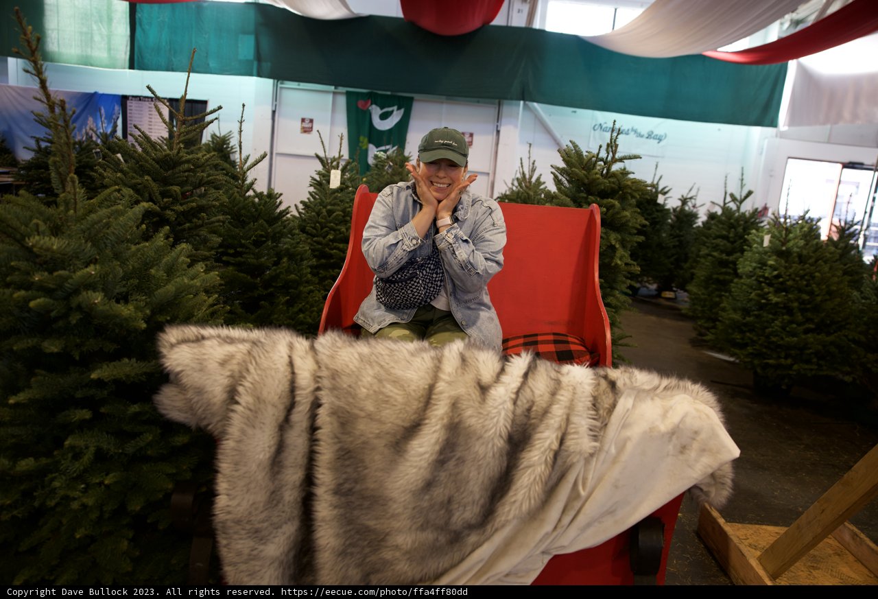 Holiday Spirits in Fort Mason - 2023