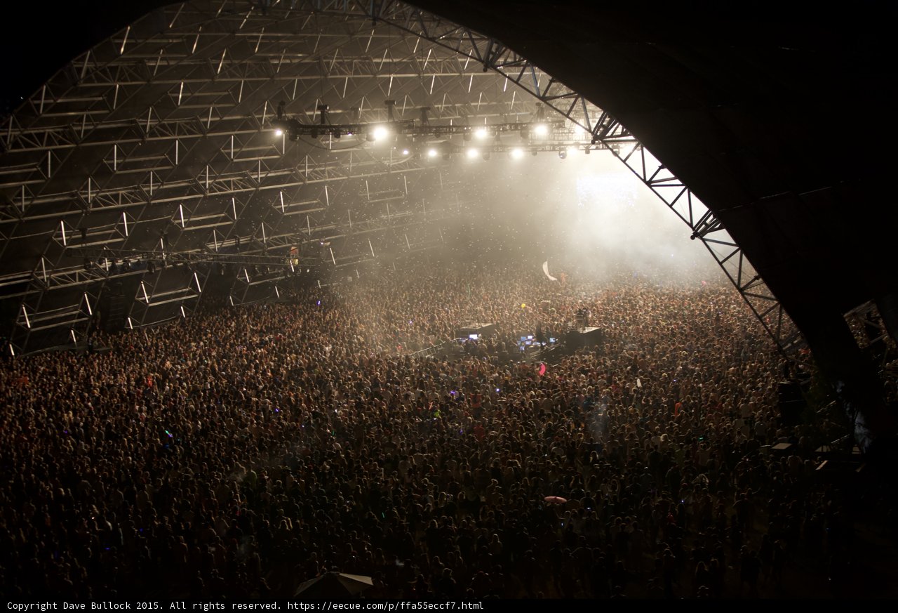 Rockin' with the Crowd