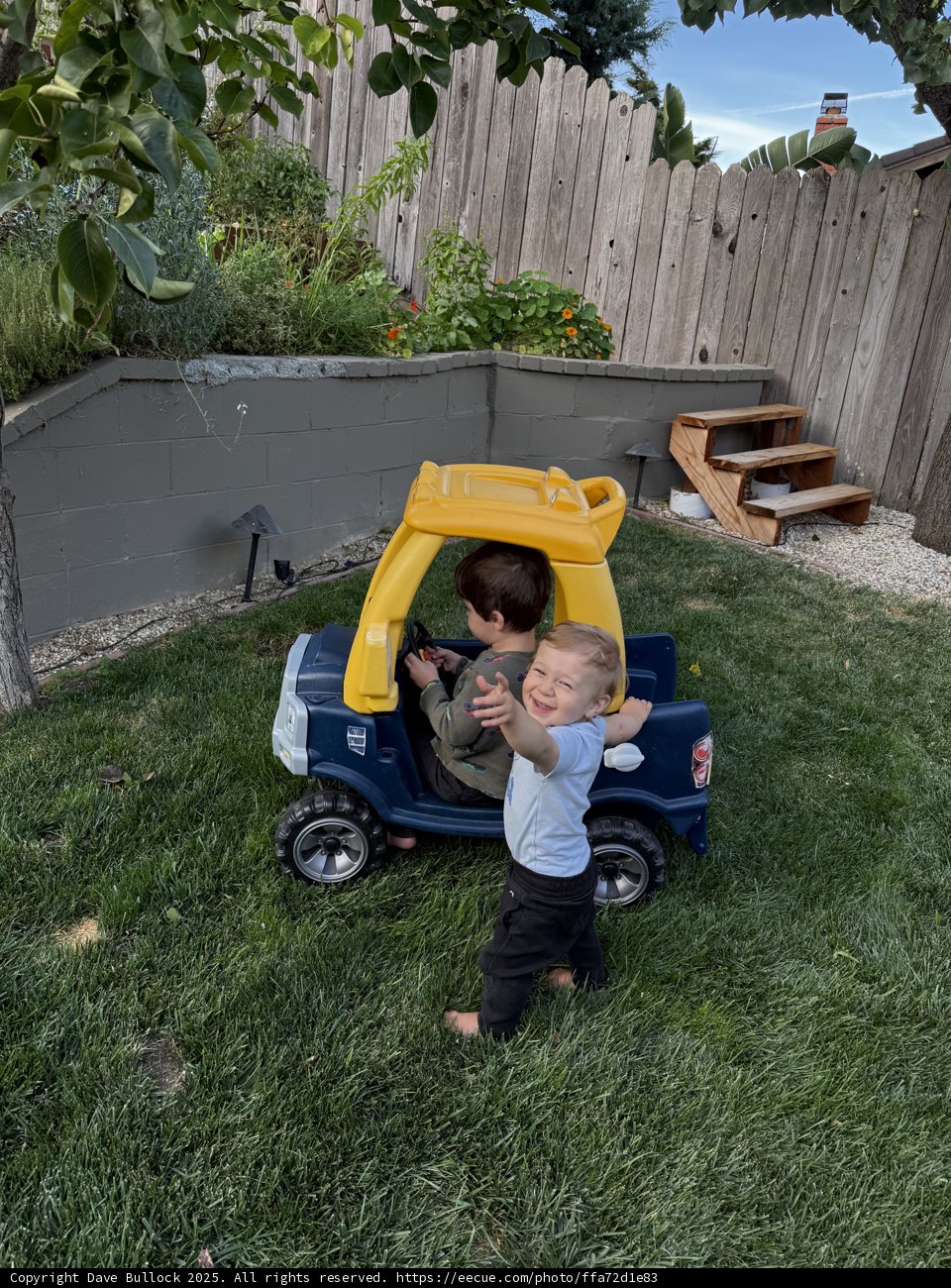 Backyard Adventures