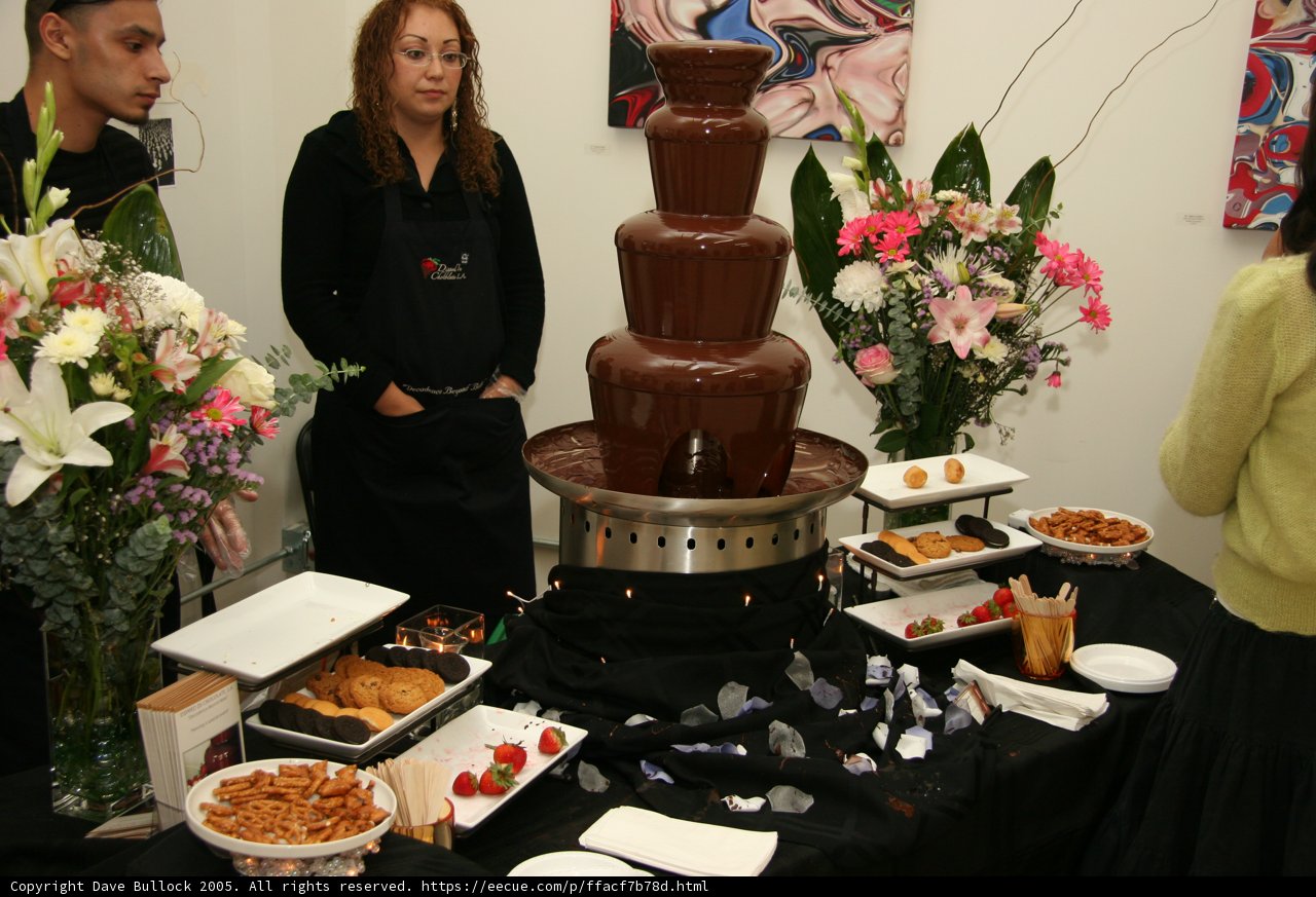 Chocolate Fountain Delight