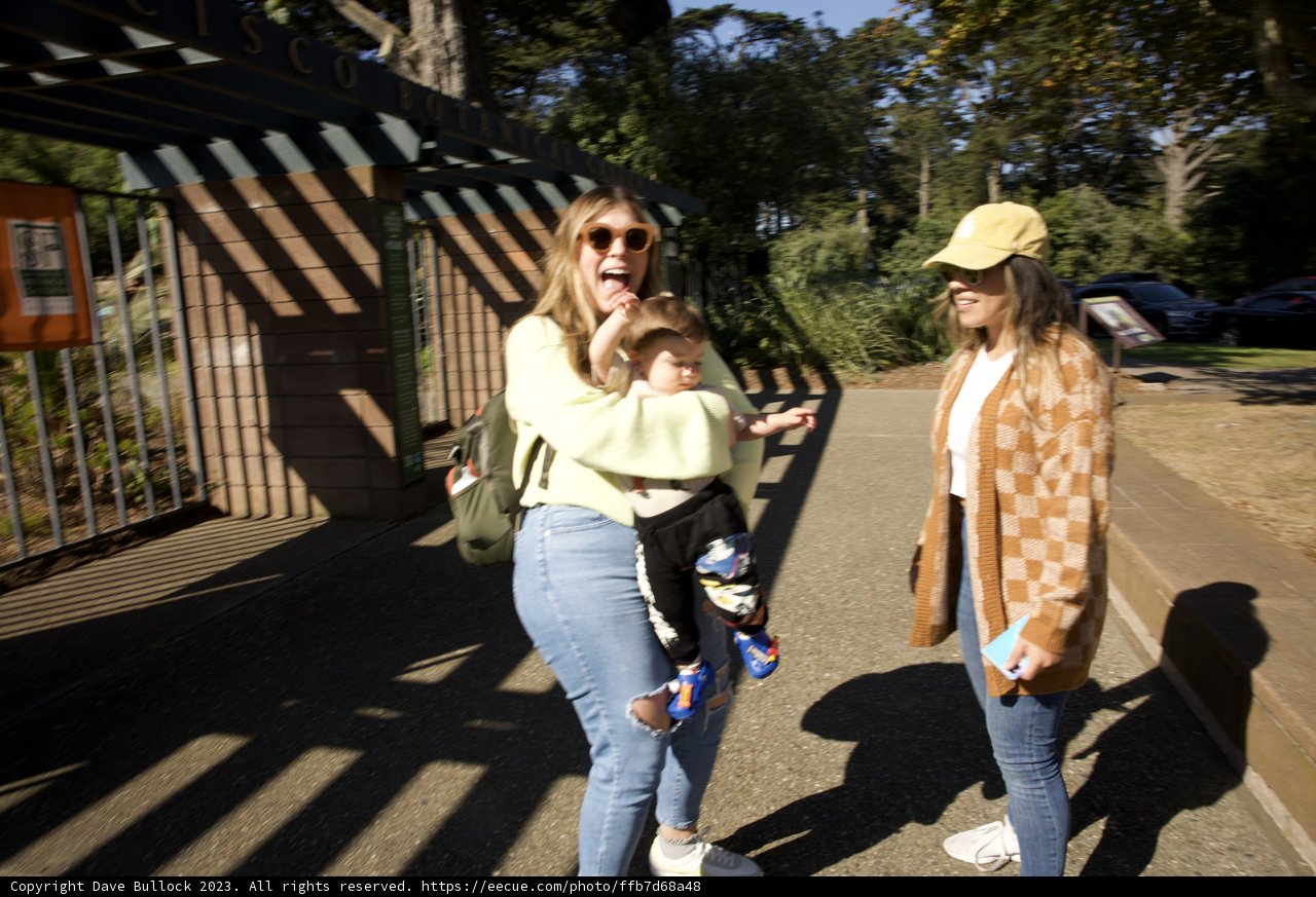 A Sunny Day in San Francisco