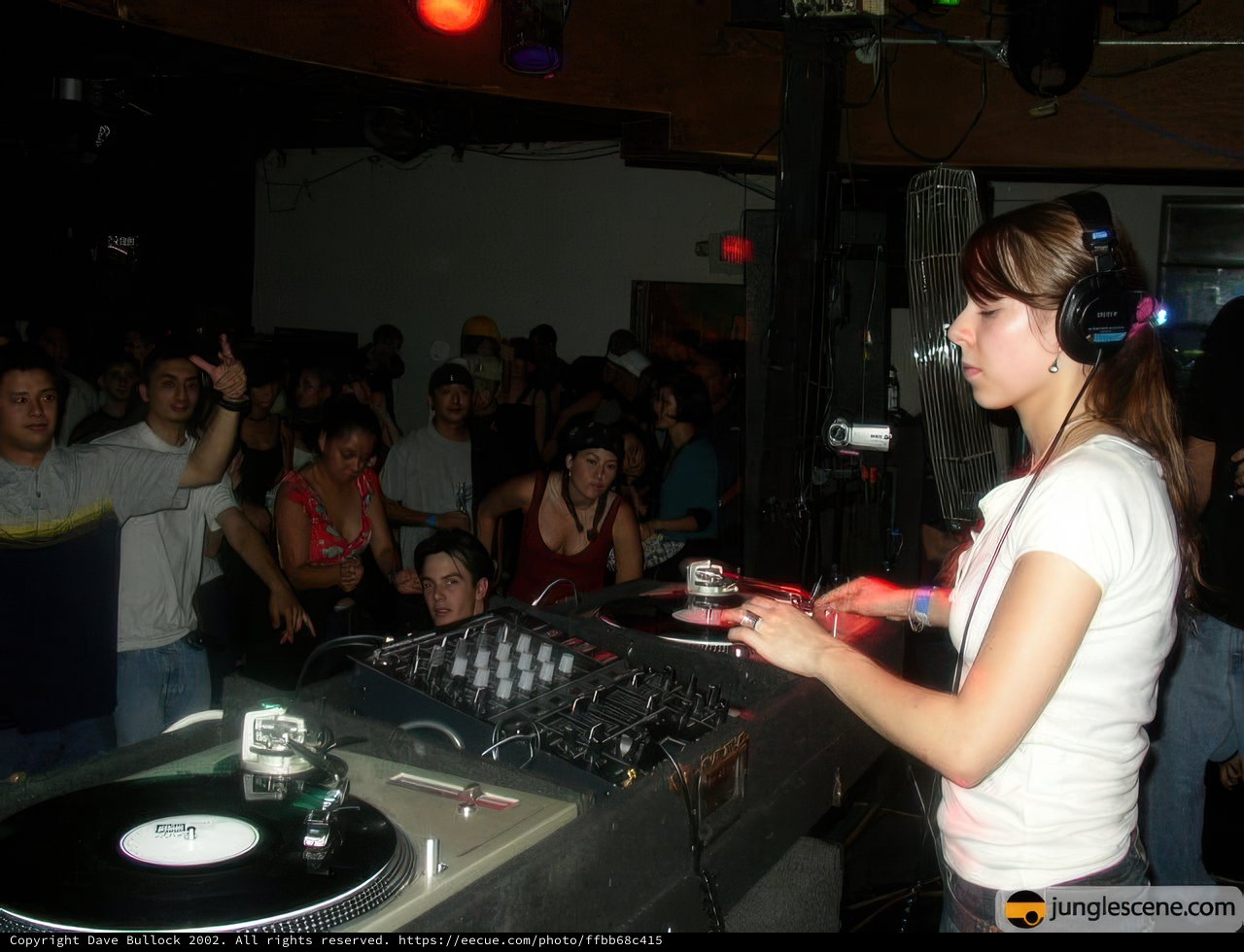 Party DJ