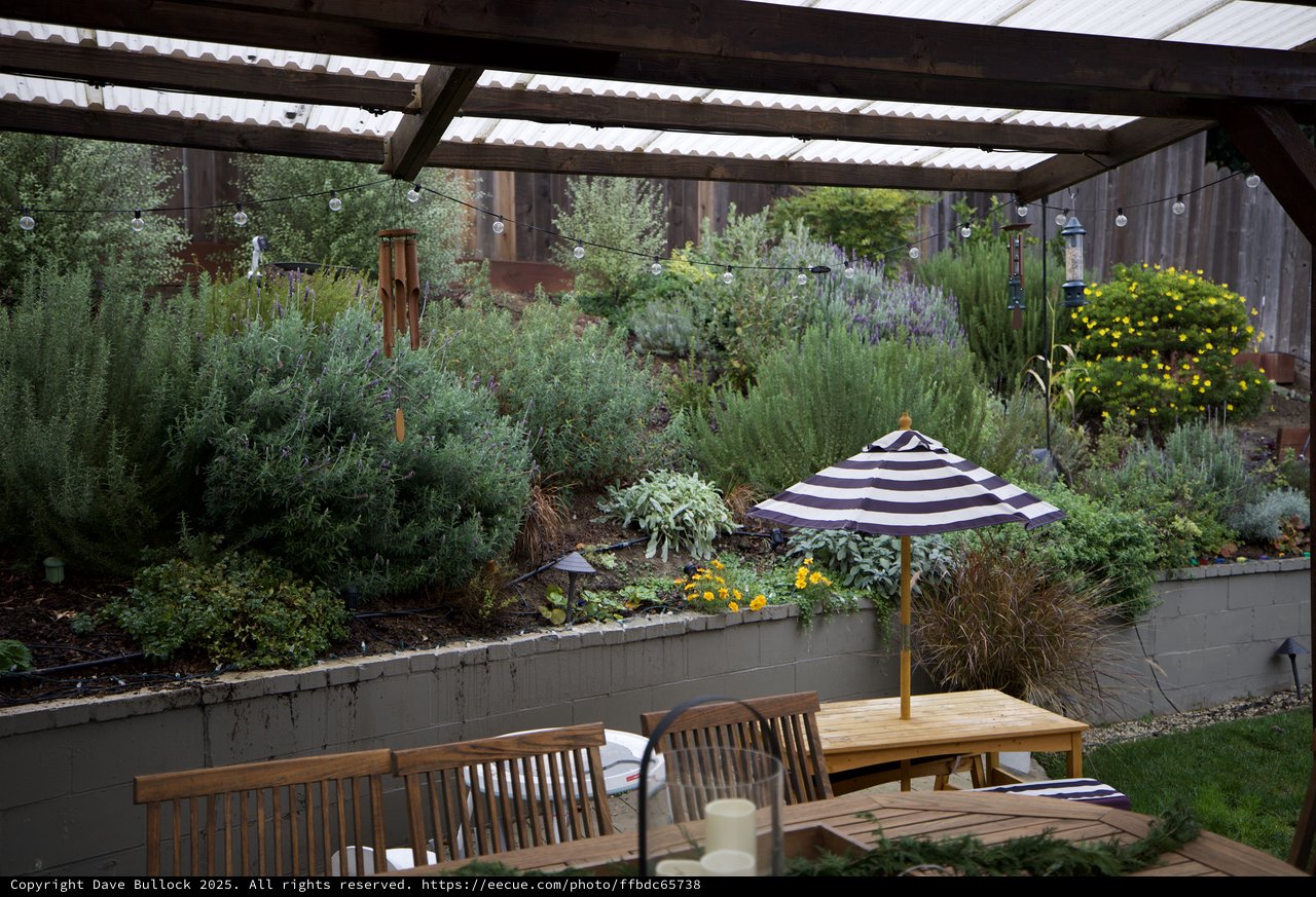 Cozy Backyard Garden Patio with Lush Plantings