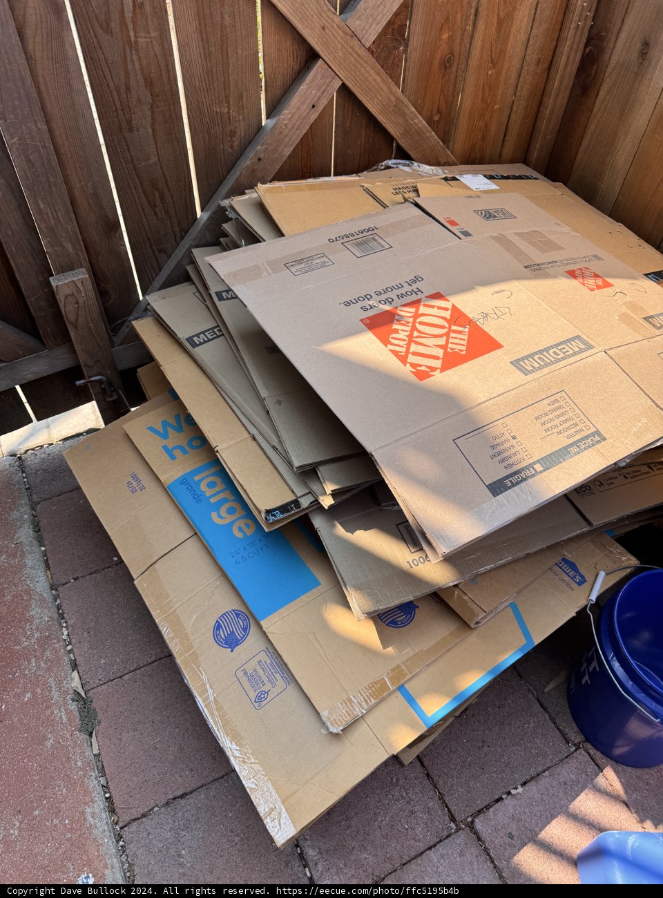 Cardboard Chronicles