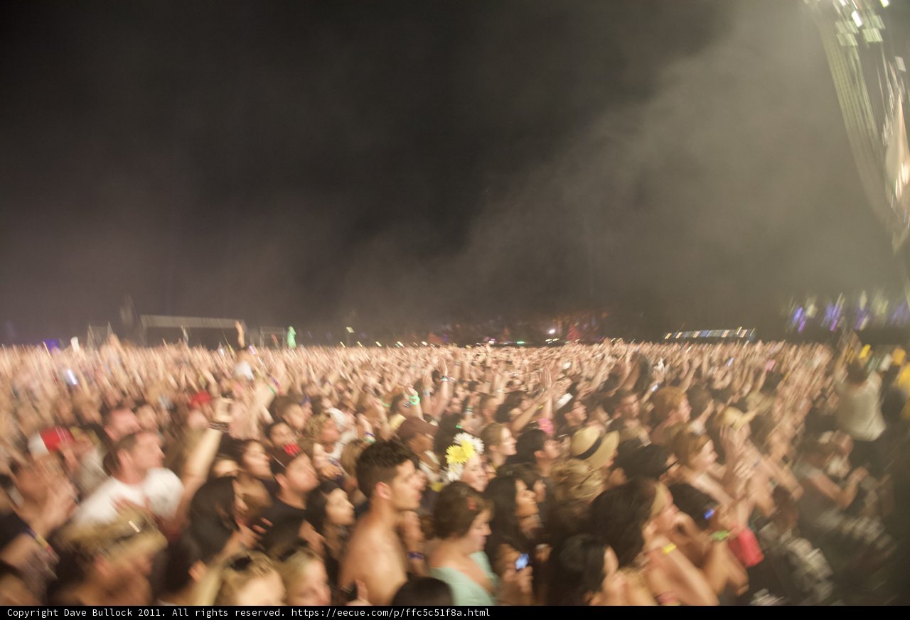 Electric Nights at Coachella