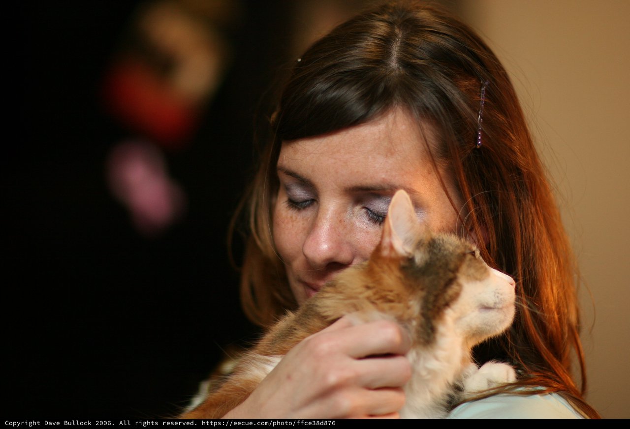 Woman Tenderly Nuzzles Ginger Kitten in Quiet Moment