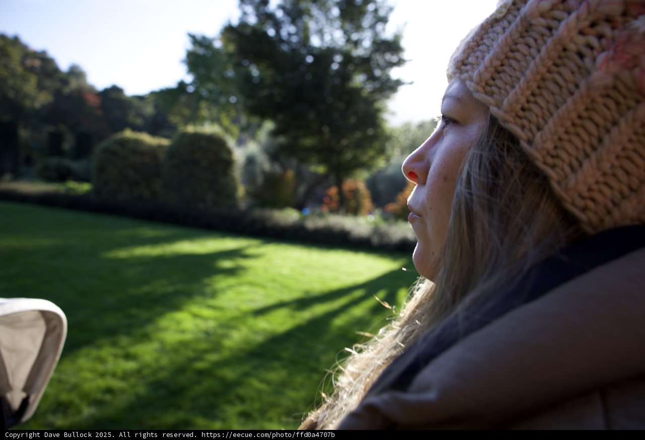 Contemplating in Nature