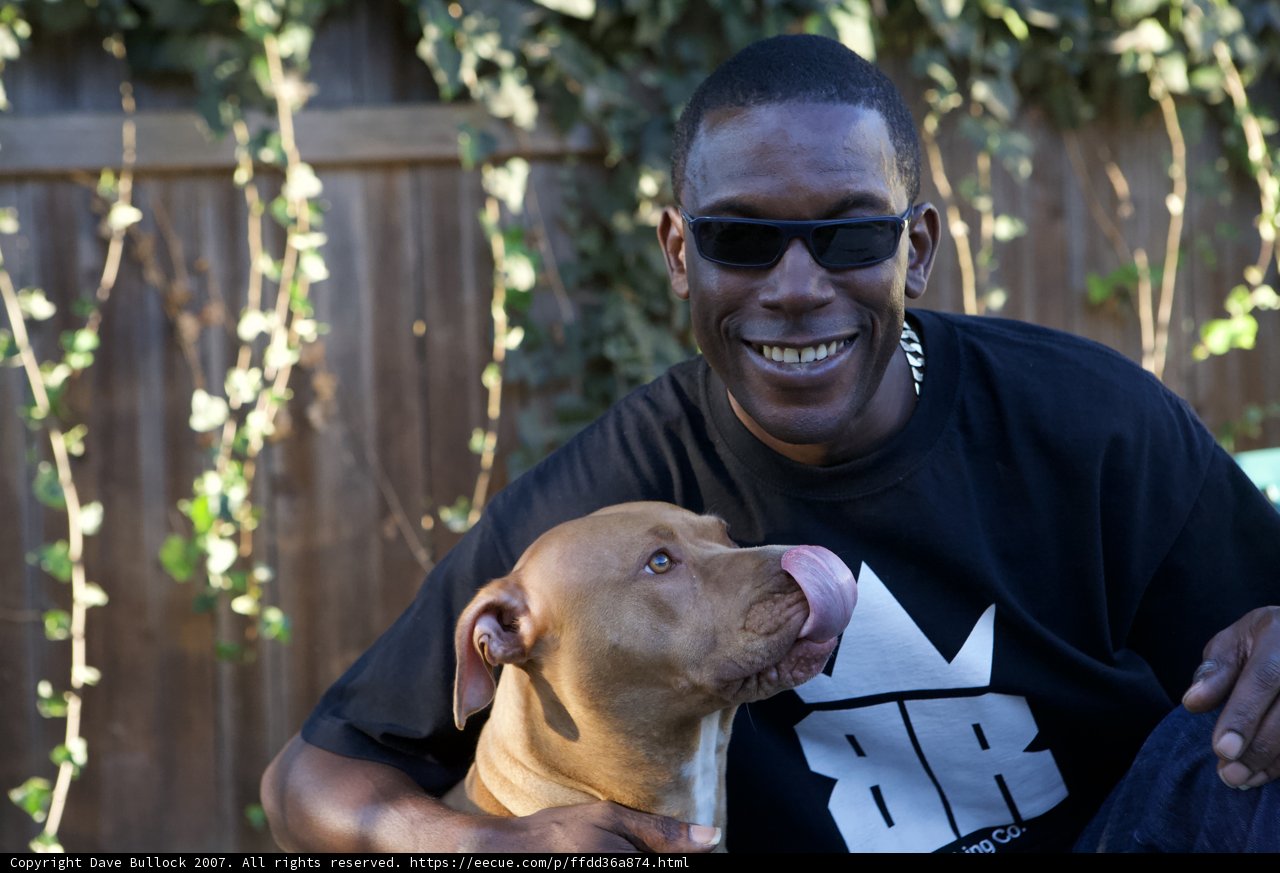 Smiling Man with Canine Companions and Sunglasses